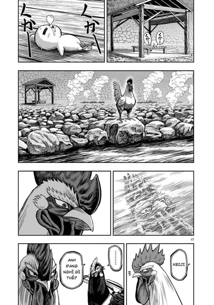 Chiến Binh Gà Trống - Page 17