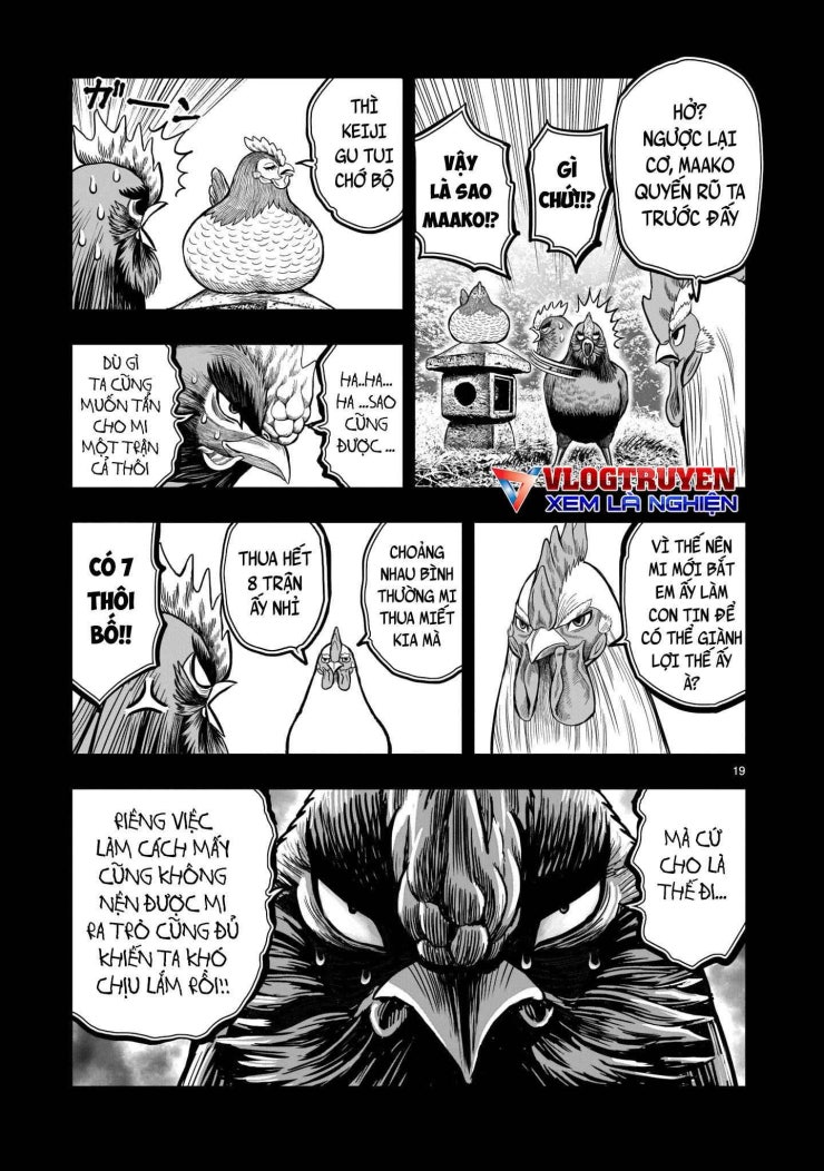 Chiến Binh Gà Trống - Page 21