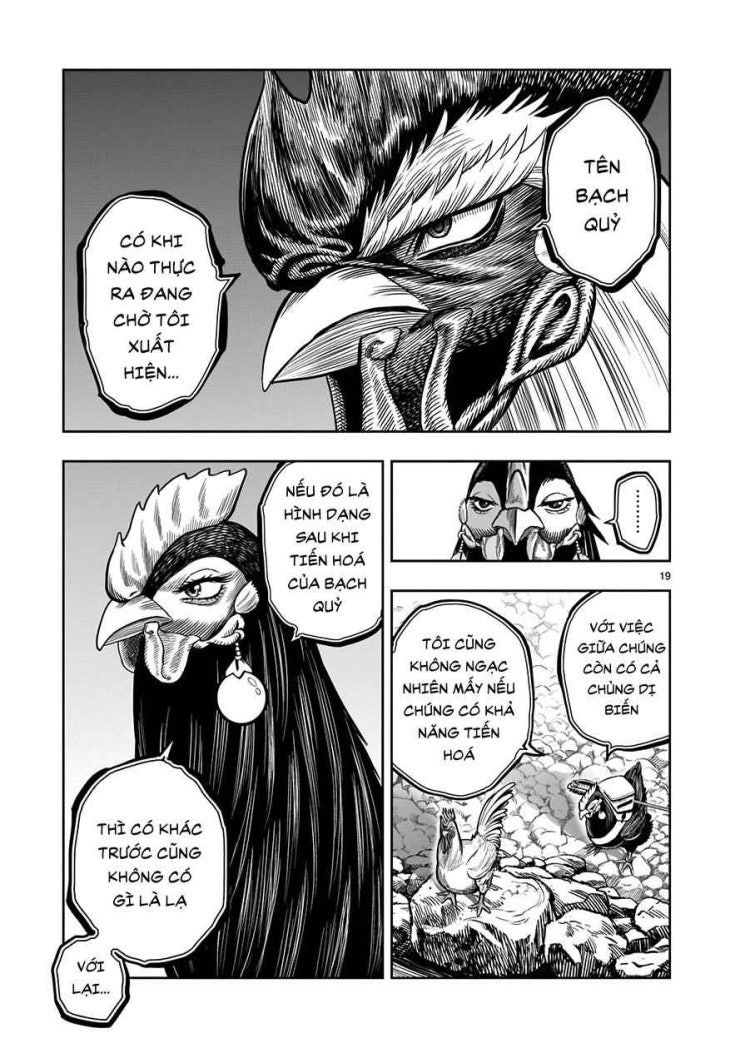 Chiến Binh Gà Trống - Page 19