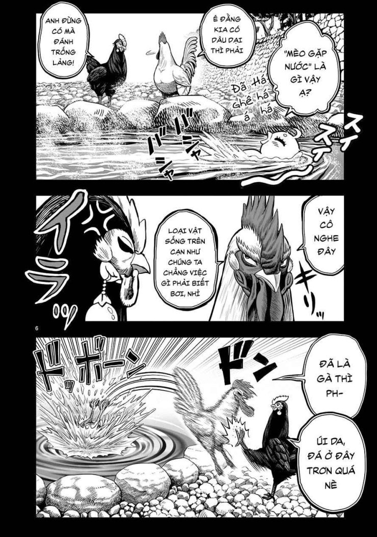 Chiến Binh Gà Trống - Page 6