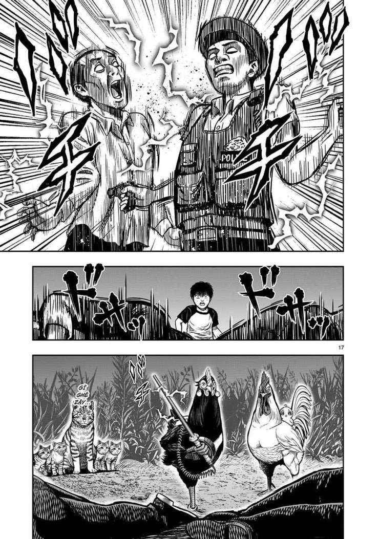 Chiến Binh Gà Trống - Page 17