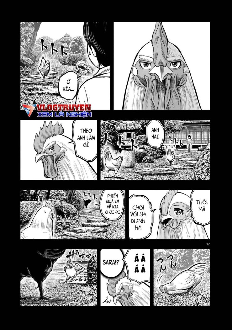 Chiến Binh Gà Trống - Page 19