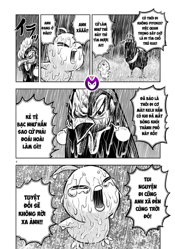 Chiến Binh Gà Trống - Page 3