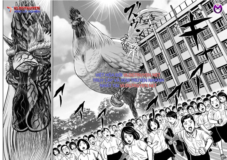 Chiến Binh Gà Trống - Page 31