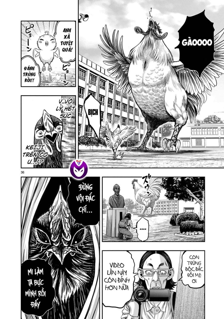 Chiến Binh Gà Trống - Page 38