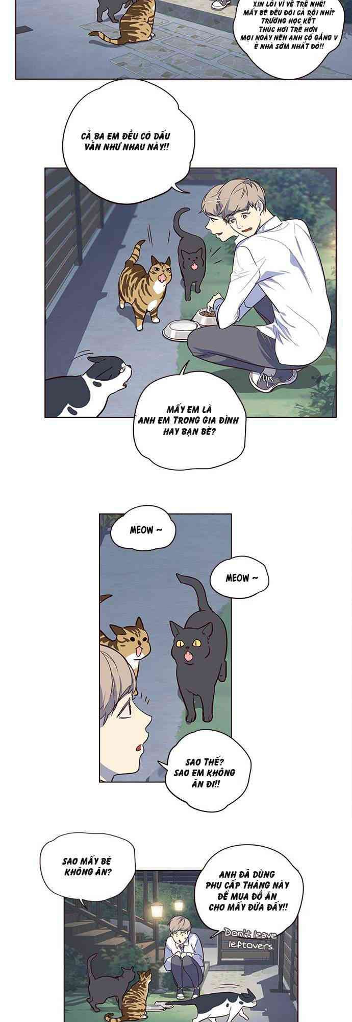 Hoá Thân Thành Mèo - Page 21