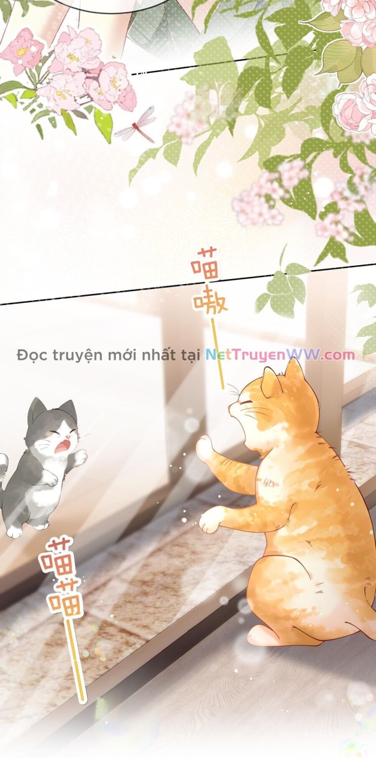 Sổ Tay Tâm Ý - Page 3