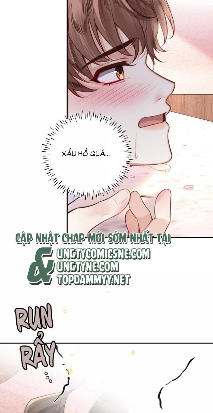 Tổng Tài Định Chế Tư Nhân - Page 11