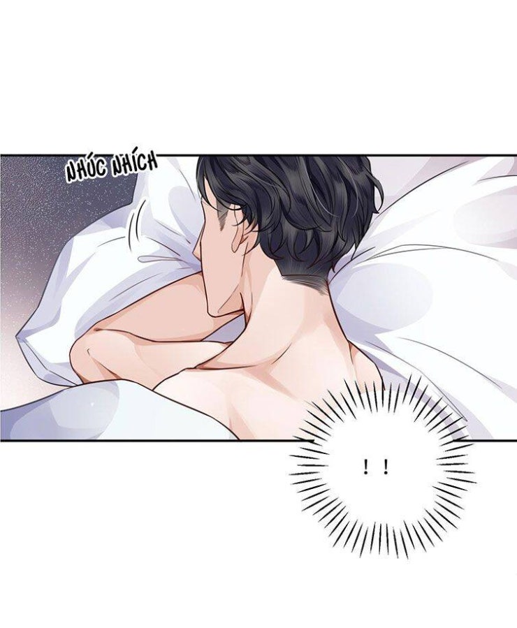 Tổng Tài Định Chế Tư Nhân - Page 13