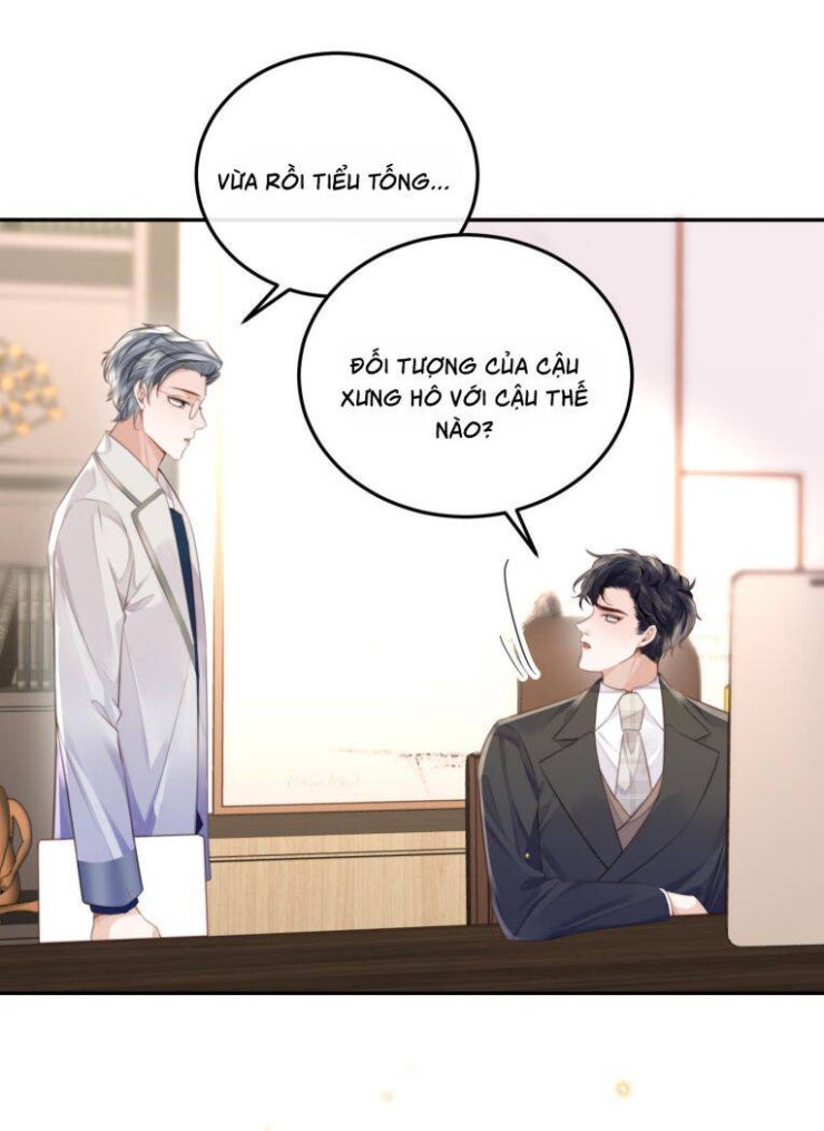 Tổng Tài Định Chế Tư Nhân - Page 22