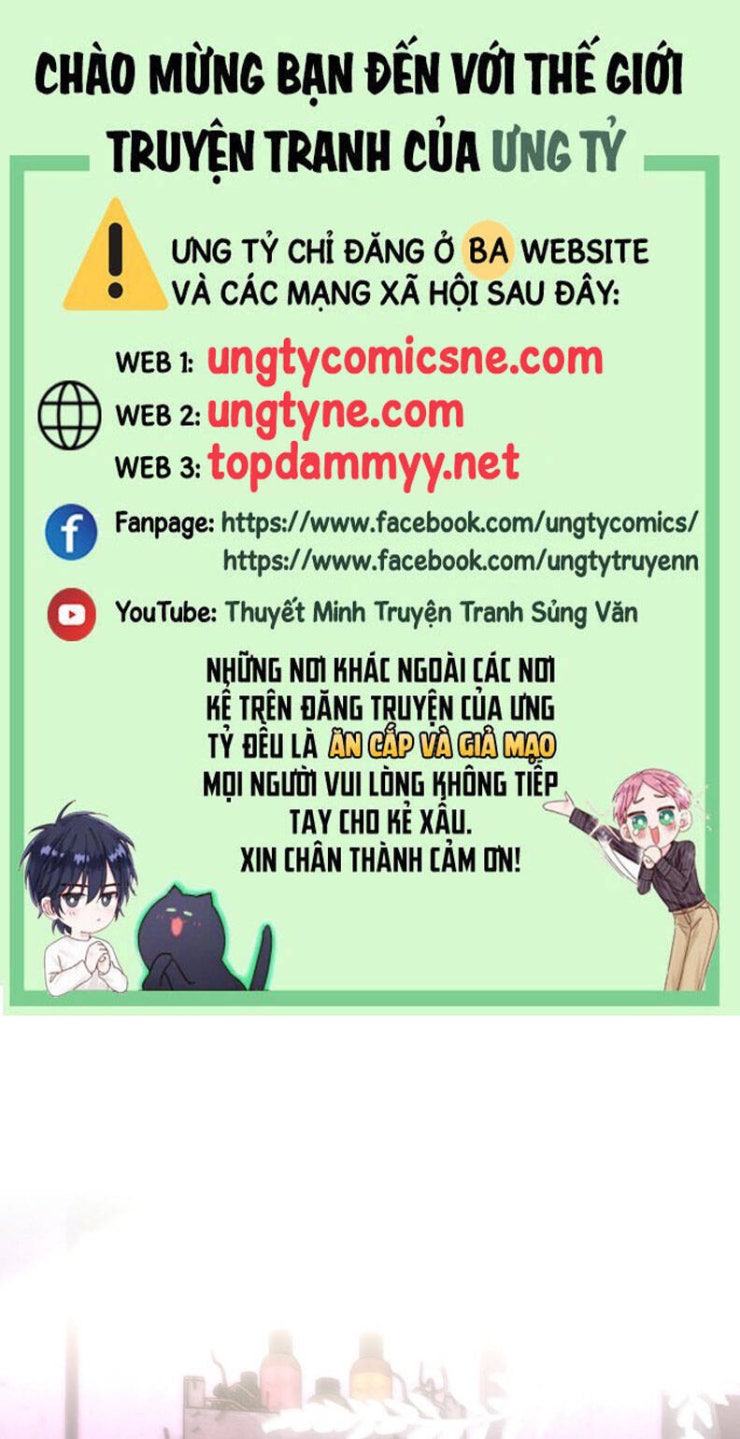 Tổng Tài Định Chế Tư Nhân - Page 2