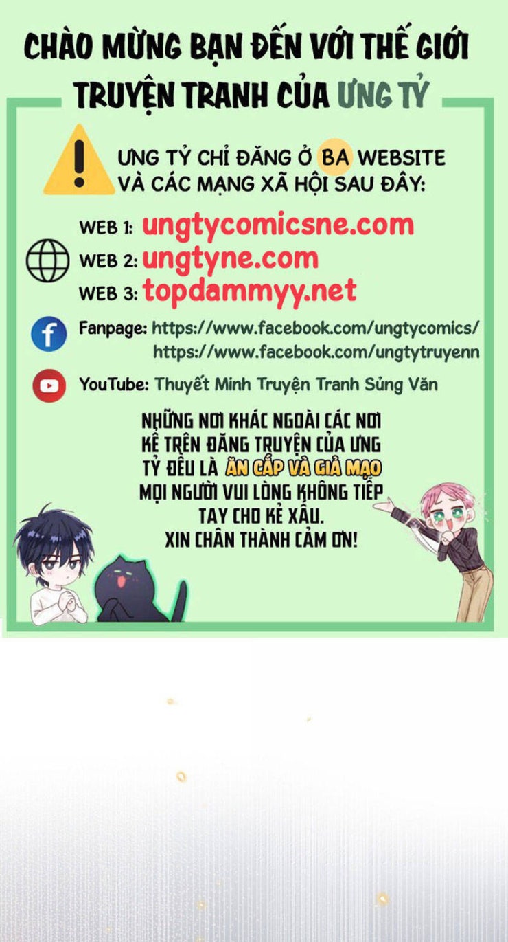 Tổng Tài Định Chế Tư Nhân - Page 2