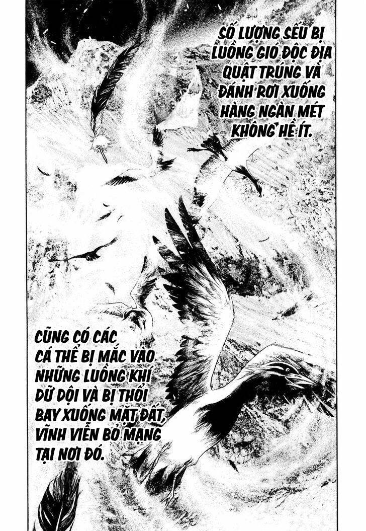 Kokou no Hito - Page 13