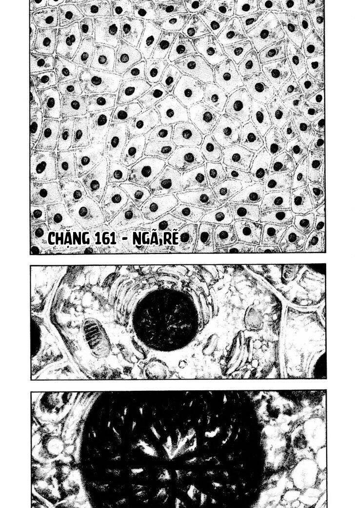 Kokou no Hito - Page 2