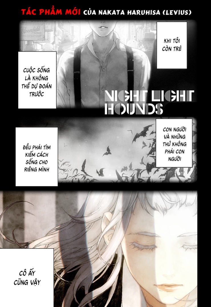 Night Light Hounds - Page 3