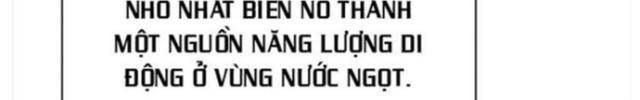 Hoá Thân Thành Cá - Page 7