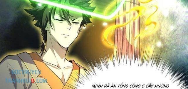 Xuyên Không Đến Thế Giới Tu Chân, Ta Vậy Mà Kích Hoạt Được Hệ Thống Plants vs Zombie - Page 2