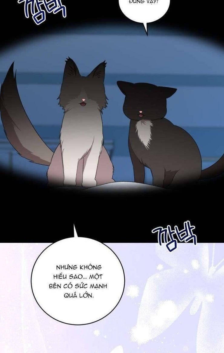Tôi Trở Thành Mẹ Kế Của Gia Đình Hắc Ám - Page 19