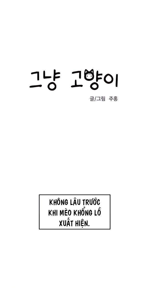 Chỉ Là Mèo - Page 13
