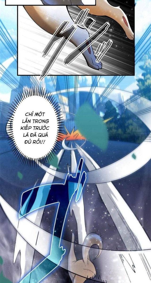 Ranker SSS Được Chọn - Page 39