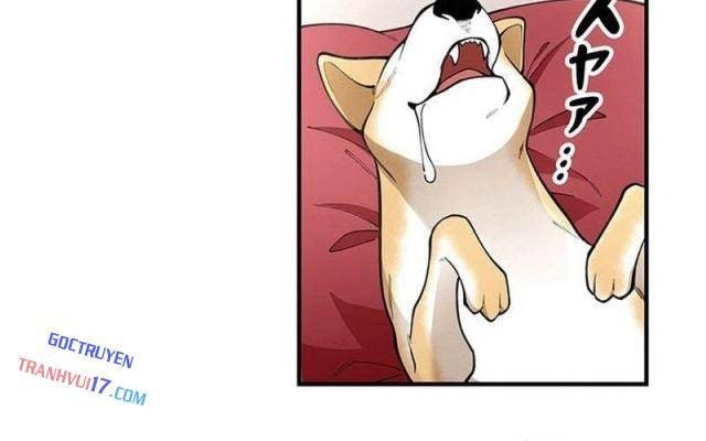 Ranker SSS Được Chọn - Page 31