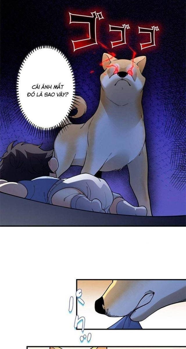 Ranker SSS Được Chọn - Page 24