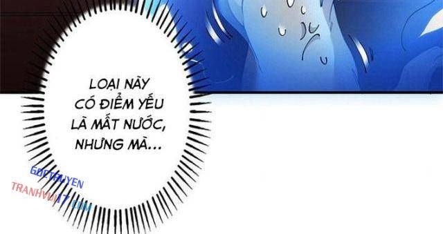 Ranker SSS Được Chọn - Page 10