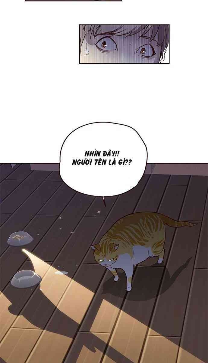 Mèo Mập Béo Bự - Page 79