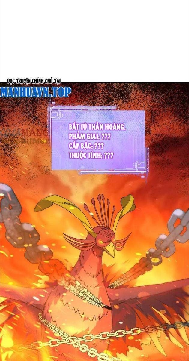 Bắt Đầu Chuyển Chức Tài Thần, Ta Chuyển Hóa Triệu Vạn Thần Sủng - Page 1