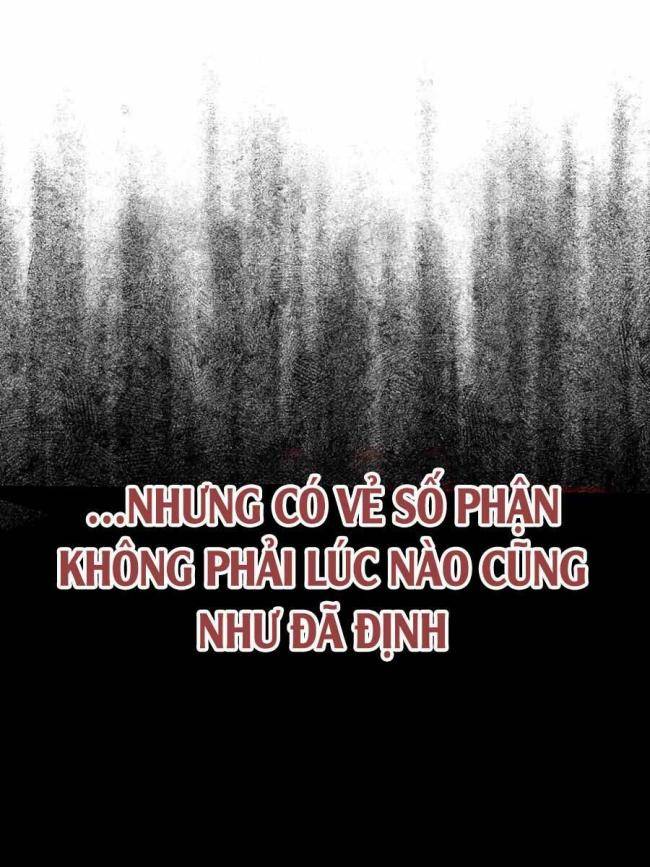 Người Chơi Cấp Tối Đa - Page 14