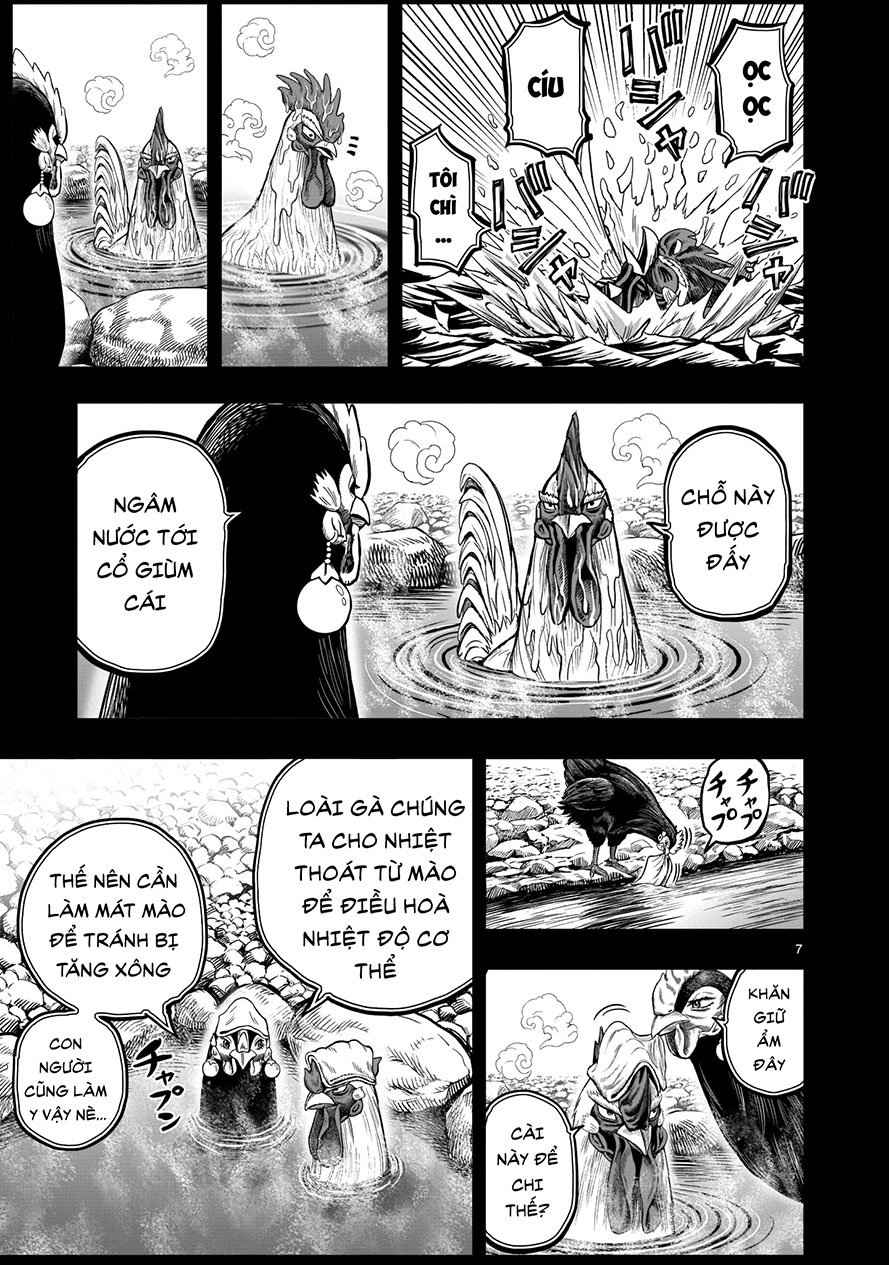 Chiến Binh Gà Trống - Page 7