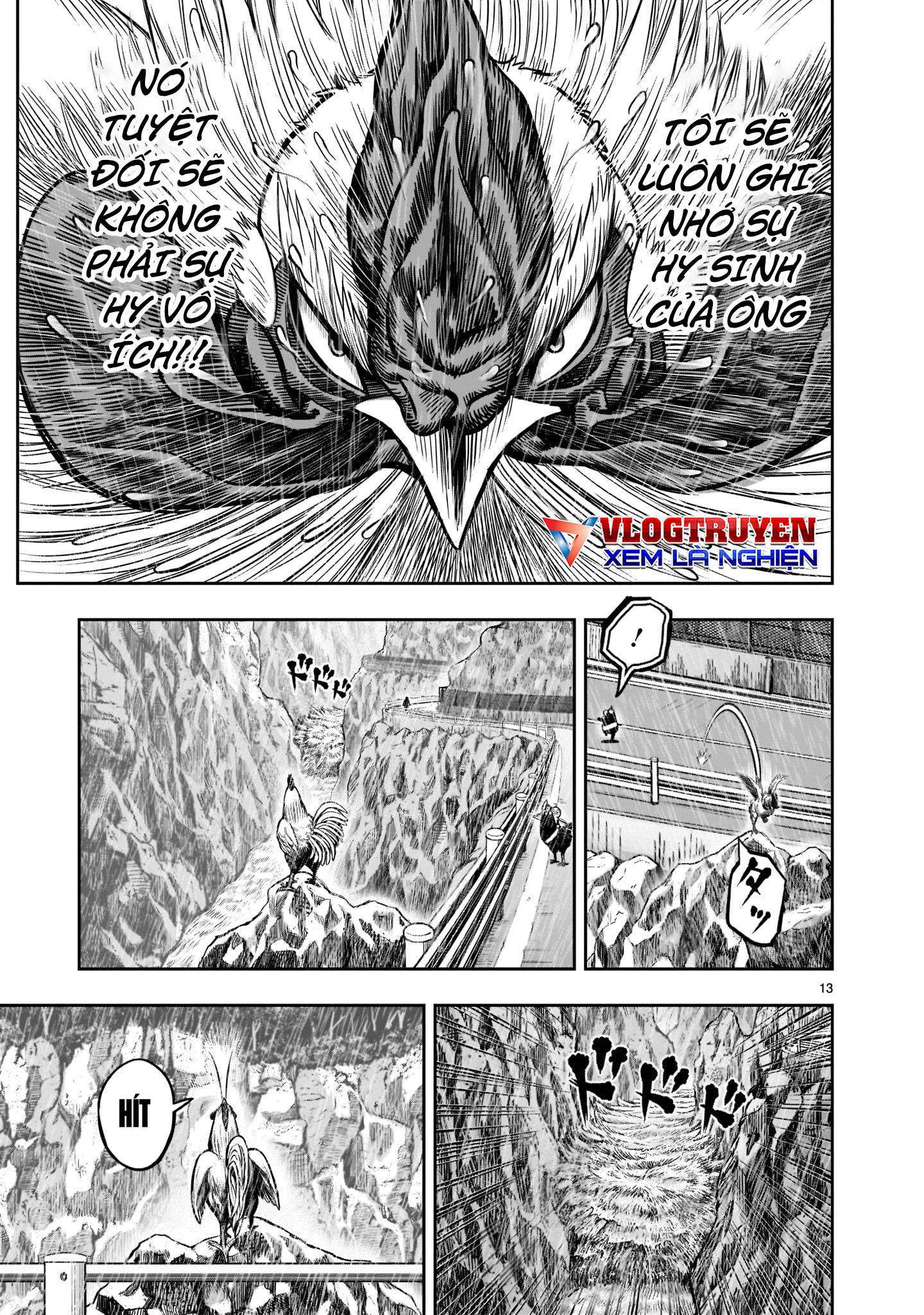 Chiến Binh Gà Trống - Page 13