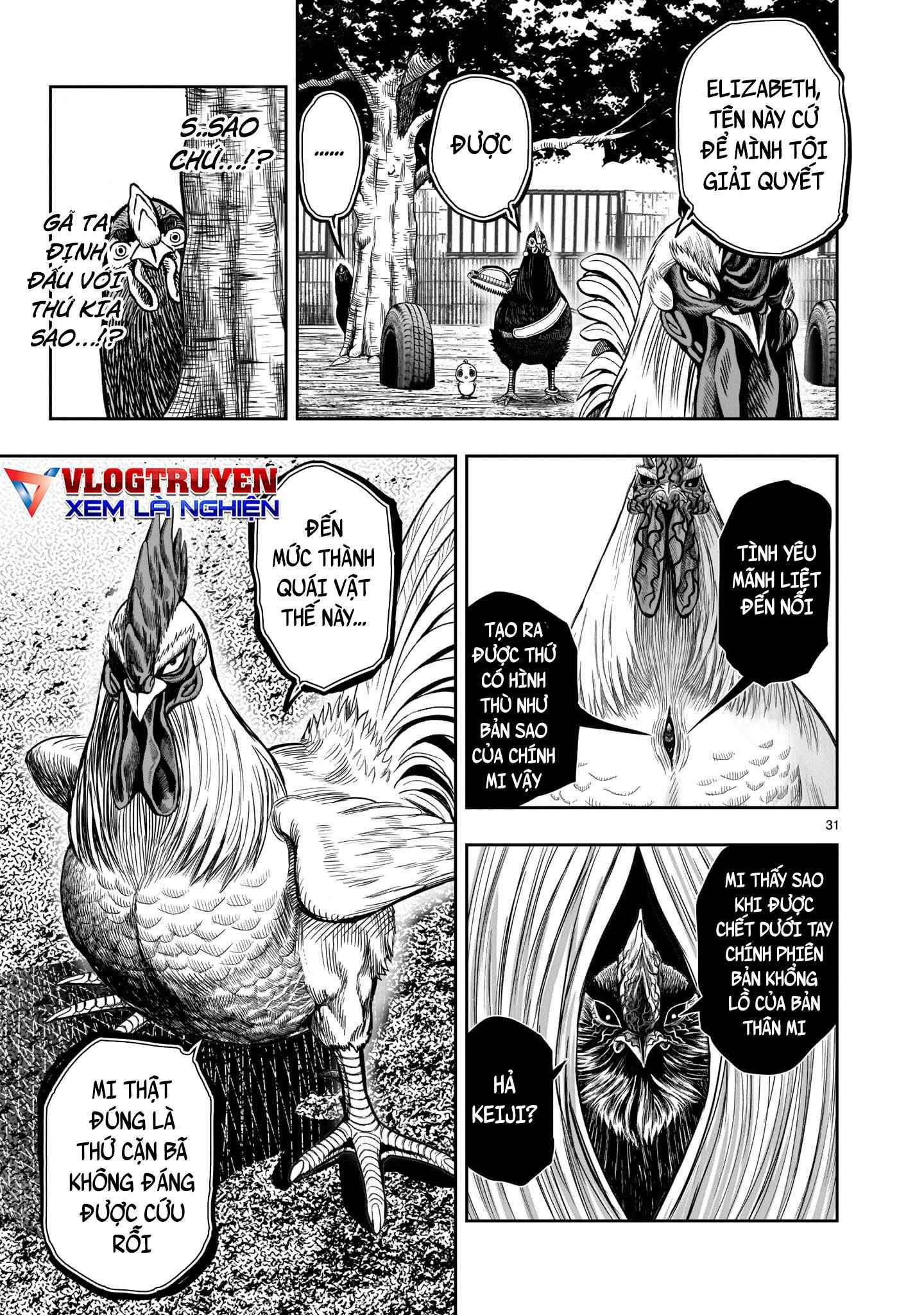 Chiến Binh Gà Trống - Page 33