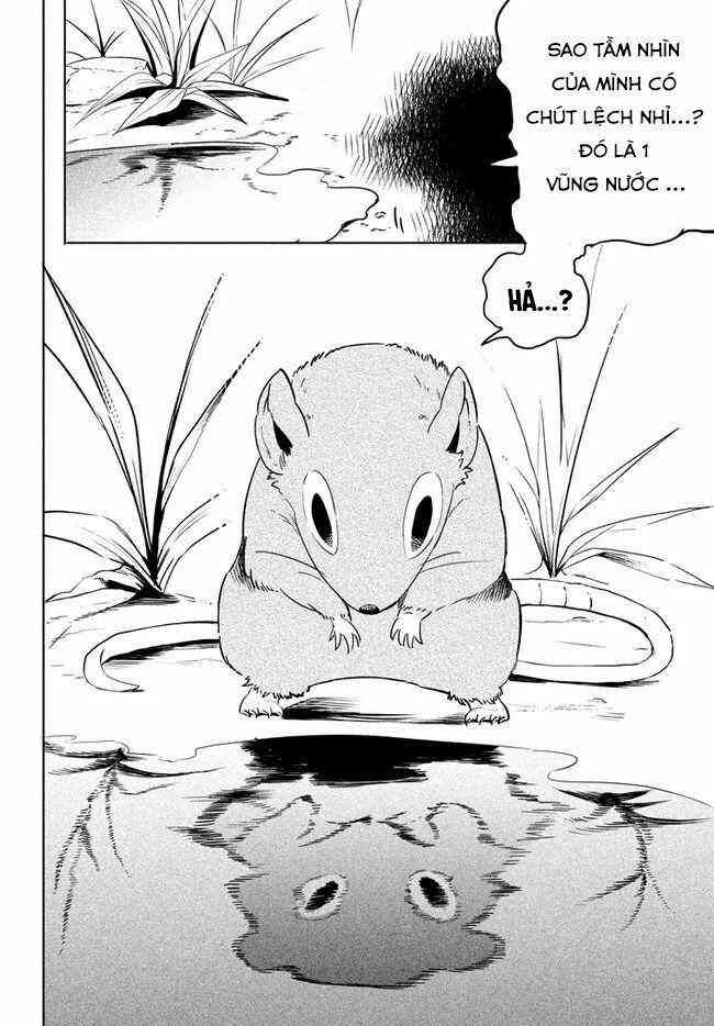 Chuyển Sinh Thành Virus Và Quá Trình Lây Nhiễm Ở Thế Giới Khác - Page 10
