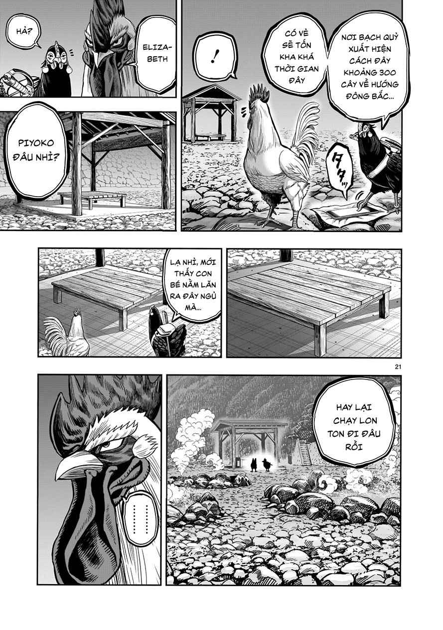 Chiến Binh Gà Trống - Page 21