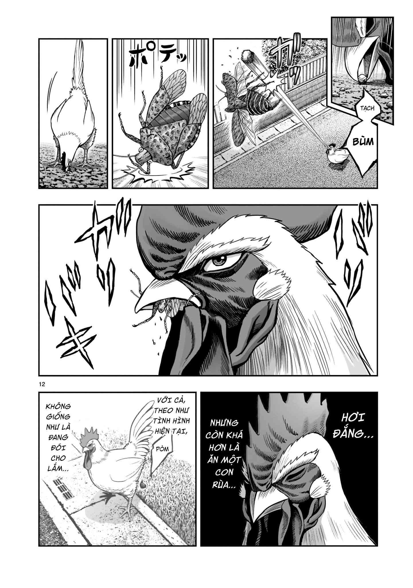 Chiến Binh Gà Trống - Page 11