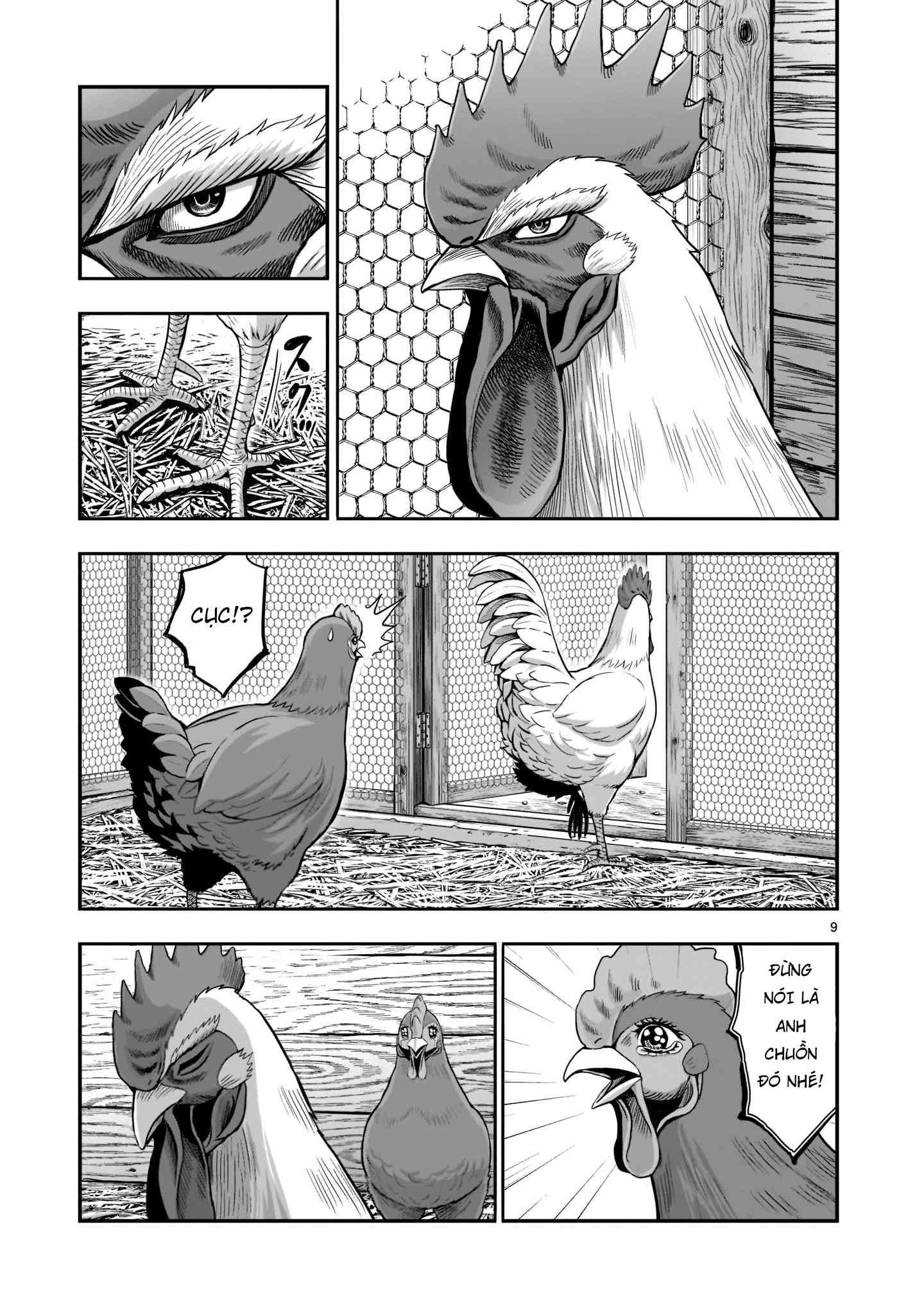 Chiến Binh Gà Trống - Page 8