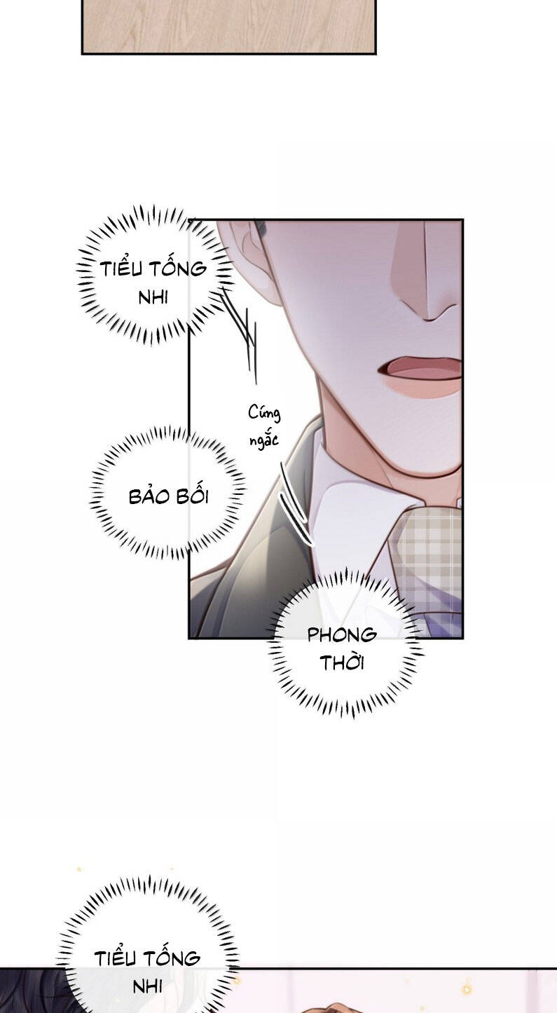 Tổng Tài Định Chế Tư Nhân - Page 21