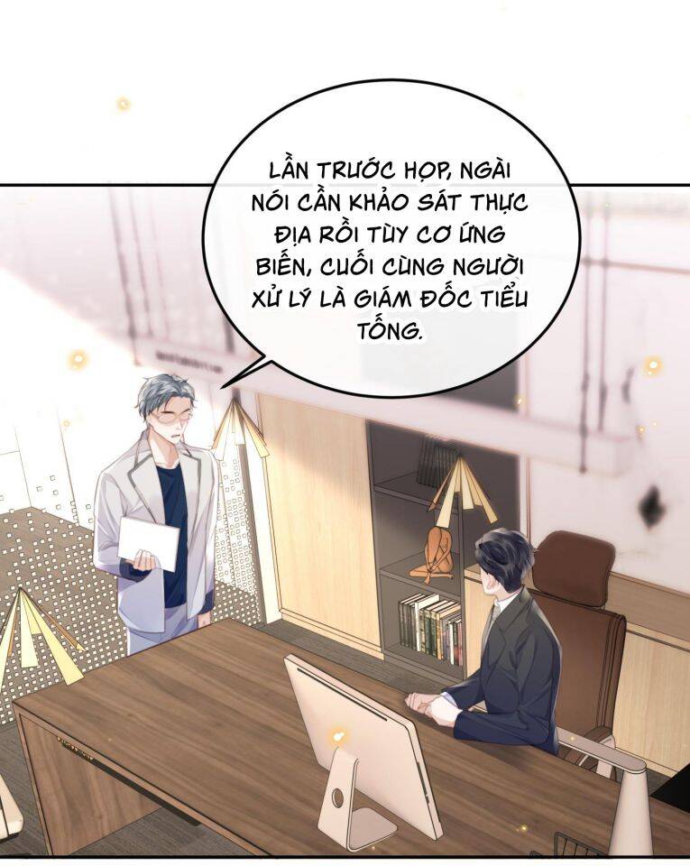 Tổng Tài Định Chế Tư Nhân - Page 28