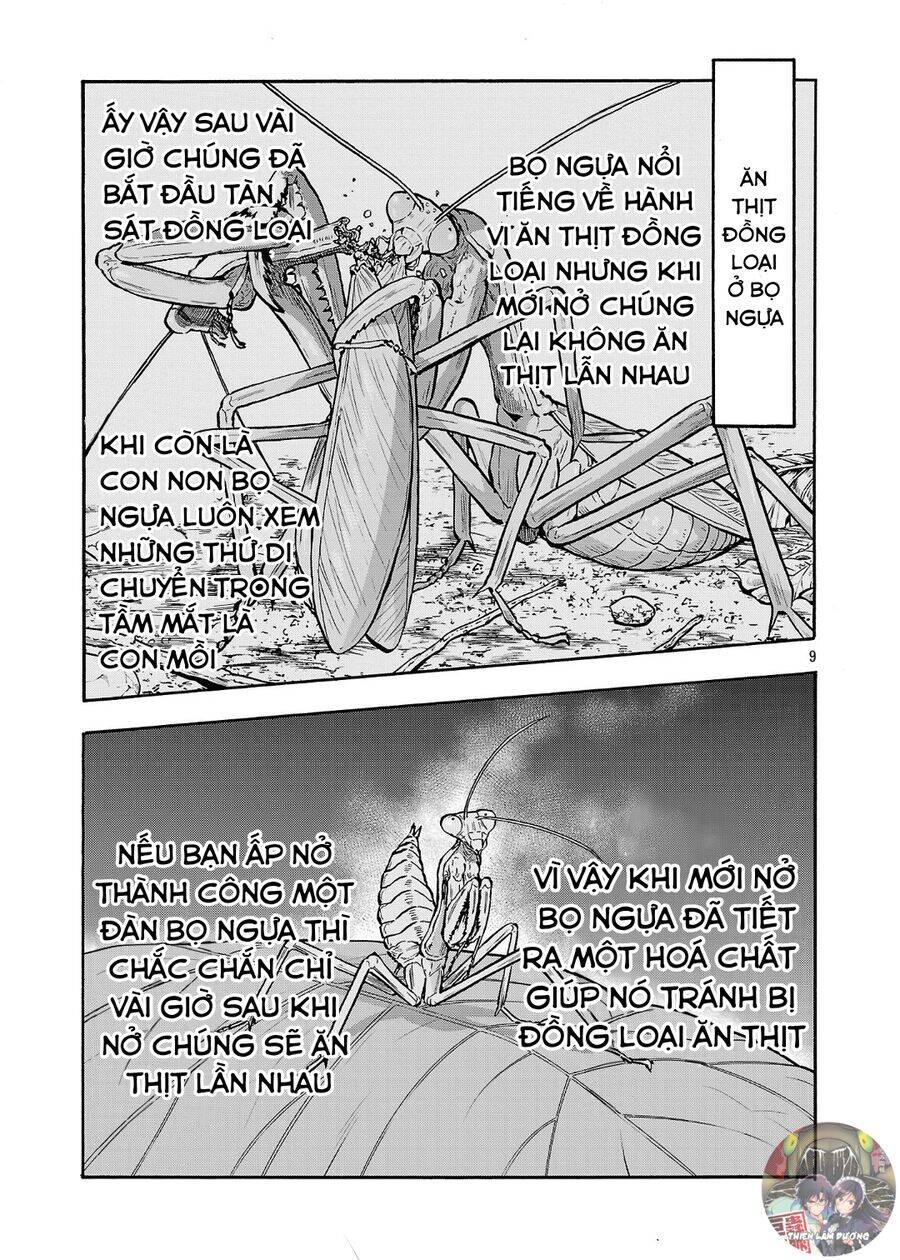 Siêu Đảo Côn Trùng - Page 11