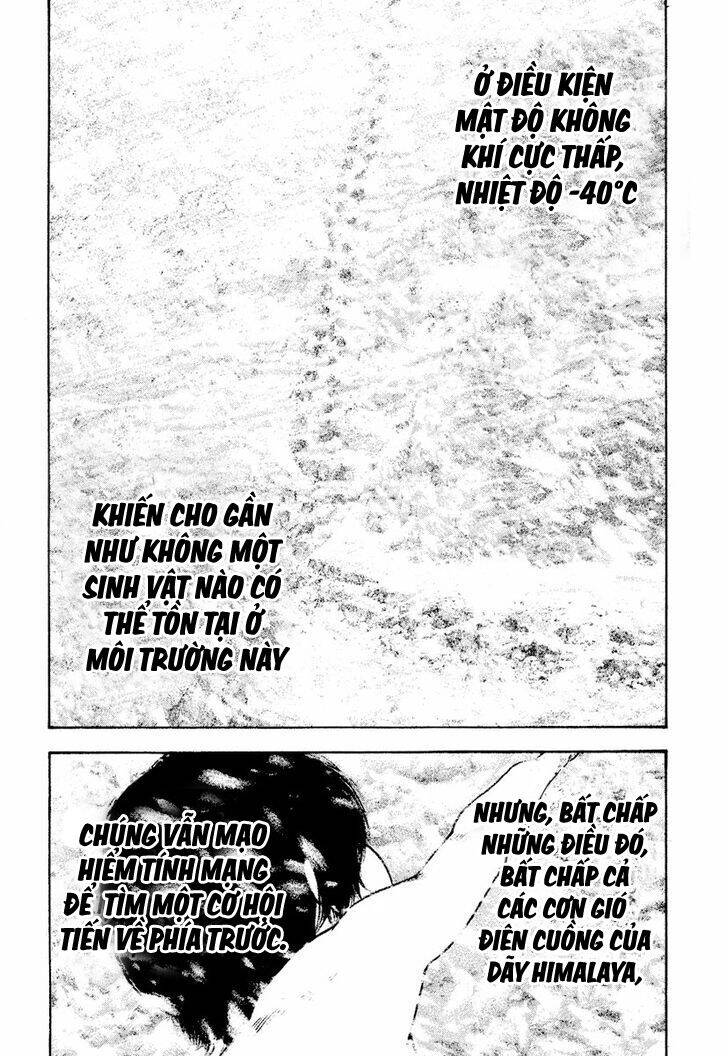 Kokou no Hito - Page 11
