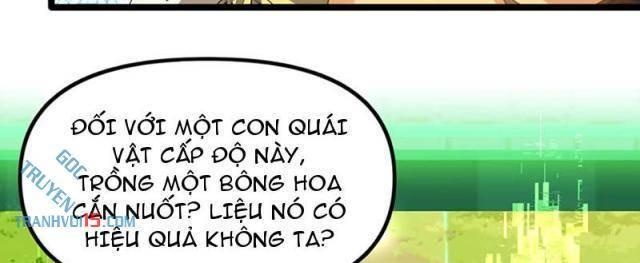 Xuyên Không Đến Thế Giới Tu Chân, Ta Vậy Mà Kích Hoạt Được Hệ Thống Plants vs Zombie - Page 6